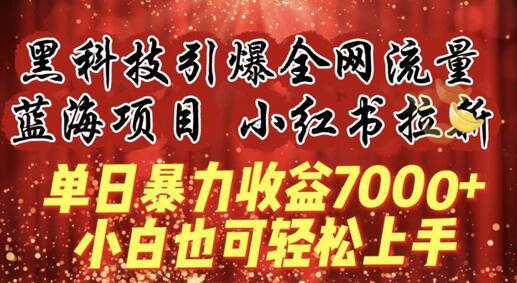 蓝海项目!黑科技引爆全网流量小红书拉新，单日暴力收益7000+，小白也能轻松上手