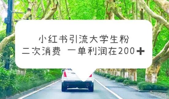 小红书引流大学生粉，变现项目，一单利润在200+（教程+资源）