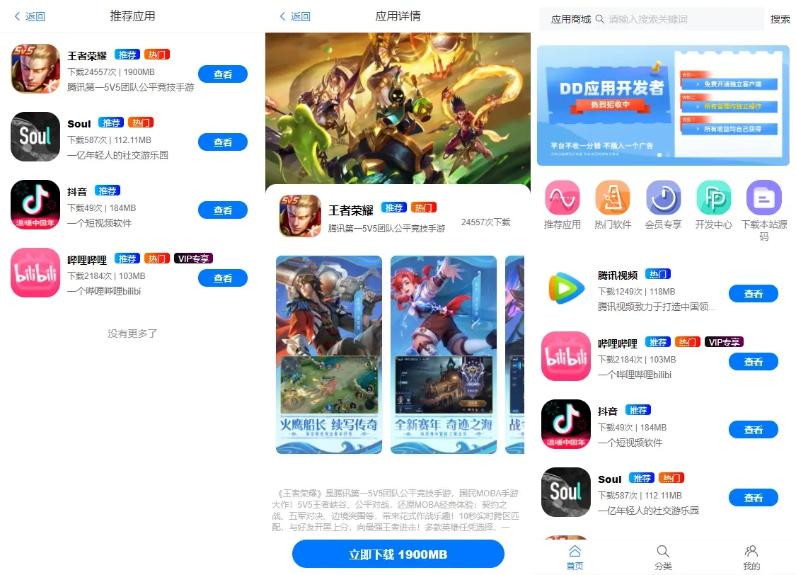 DD应用系统软件库网站源码