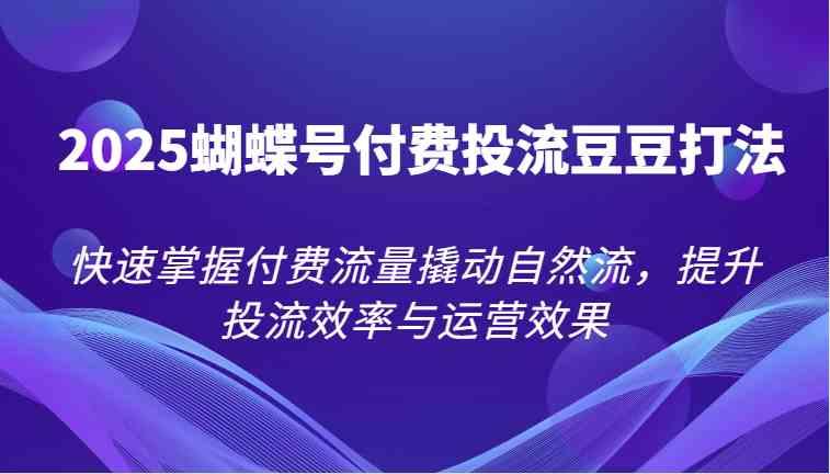 2025蝴蝶号付费投流豆豆打法，快速掌握付费流量撬动自然流，提升投流效率与运营效果