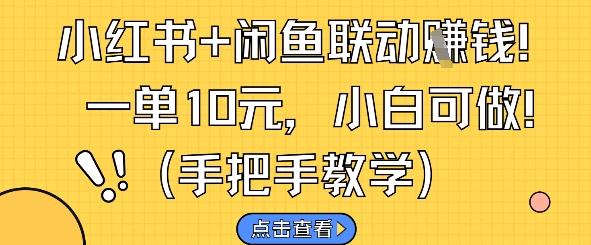 小红书+闲鱼联动挣钱，一单10元，小白可做