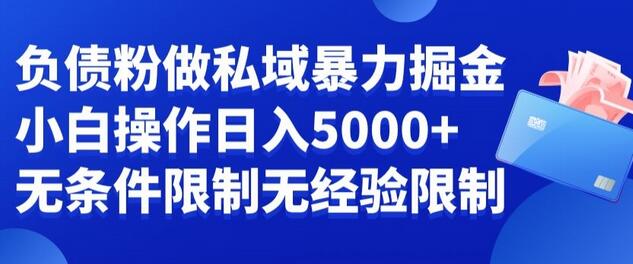 负债粉私域暴力掘金，小白操作入5000，无经验限制，无条件限制