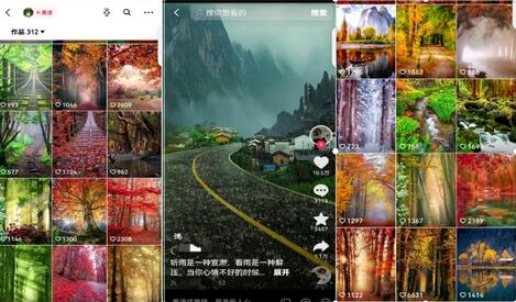 黄岛主副业拆解：抖音风景号视频变现副业项目，一条龙玩法分享给你