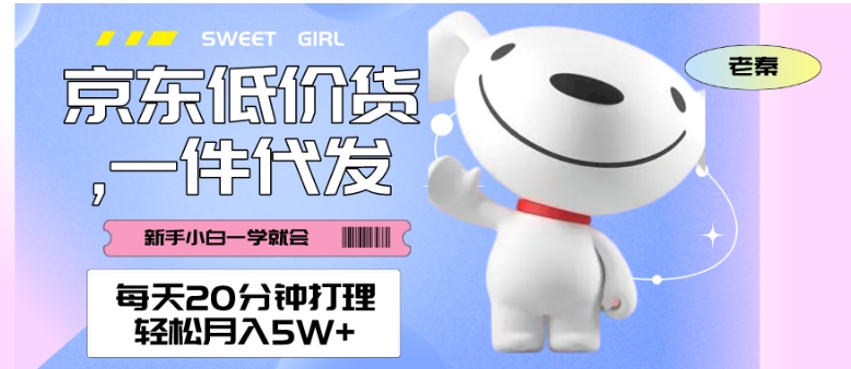 每天20分钟打理京东低价货，一件代发-轻松月入5W＋