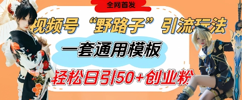 视频号“野路子”玩法，评论区疯狂截流，一套模板单日单号引流50+创业粉