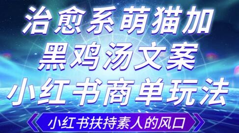 治愈系萌猫加+黑鸡汤文案，小红书商单玩法，3~10天涨到1000粉，一单200左右