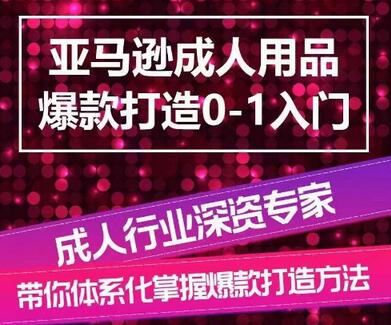 亚马逊成人用品爆款打造0-1入门，系统化讲解亚马逊成人用品爆款打造的流程