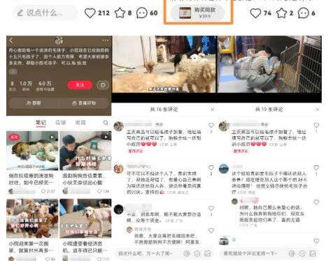 小红书蓝海类赛道：小动物打赏与购买变现副业项目，一条龙玩法分享给你！