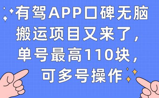 有驾APP口碑无脑搬运项目又来了，单号最高110块，可多号操作