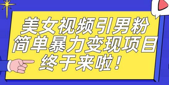 价值3980的男粉暴力引流变现项目，一部手机简单操作，新手小白轻松上手，每日收益500+