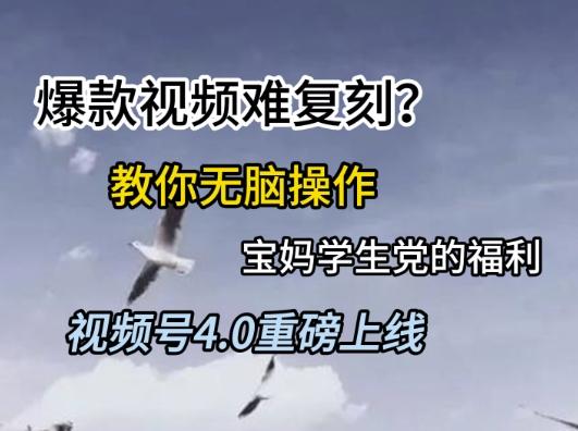 视频号4.0重磅上线，爆款视频难复刻？教你无脑操作宝妈学生党的福利【揭秘】