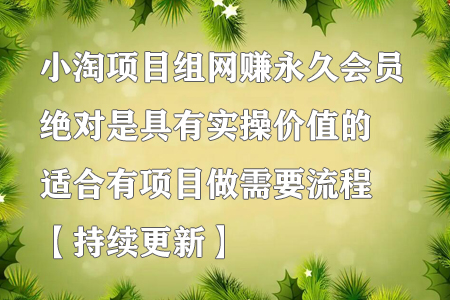 小淘项目组网赚永久会员,绝对是具有实操价值的,适合有项目做需要流程【持续更新】