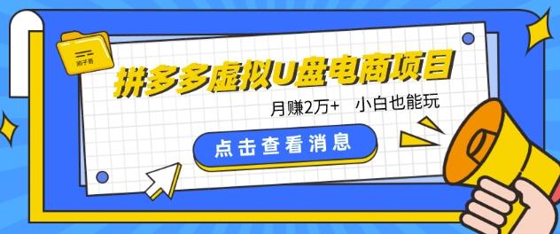 拼多多虚拟U盘电商红利项目：月赚2万+，新手小白也能玩