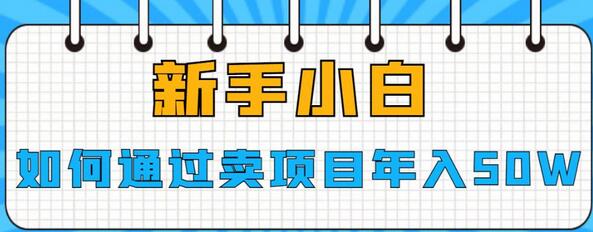 新手小白如何通过卖项目年入50W