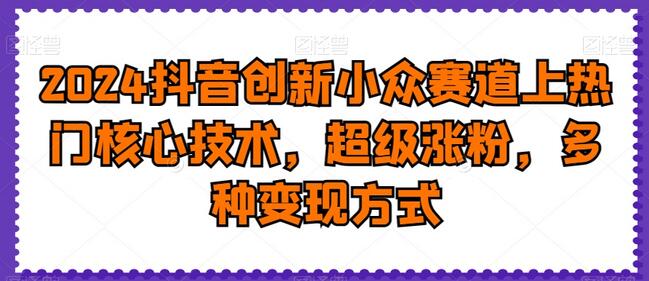 2024抖音创新小众赛道上热门核心技术，超级涨粉，多种变现方式