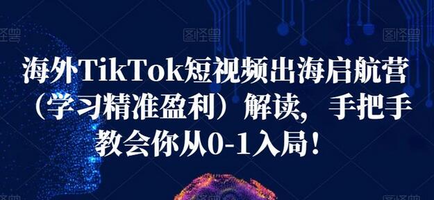 海外TikTok短视频出海启航营（学习精准盈利）解读，手把手教会你从0-1入局！