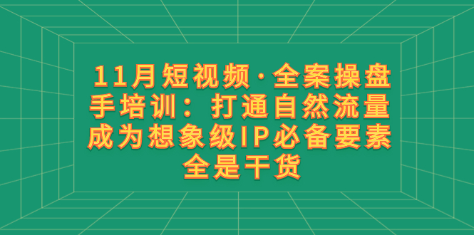 【终身VIP专享】参哥-11月短视频·全案操盘手培训：打通自然流量 成为想象级IP必备要素 全是干货