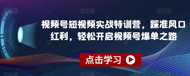 视频号短视频实战特训营，踩准风口红利，轻松开启视频号爆单之路