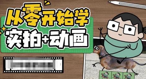 从零开始学实拍加动画，实拍加动画创意教程