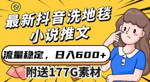 最新抖音洗地毯小说推文，流量稳定，一天收入600（附177G素材）
