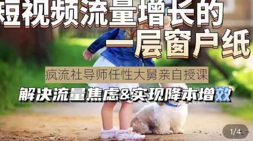 任性大舅·宠物行业短视频运营课(不讲废话)，短视频流量增长的一层窗户纸，解决流量焦虑&实现降本增效