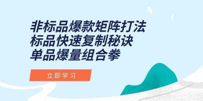 非标品爆款矩阵打法，标品快速复制秘诀，单品爆量组合拳