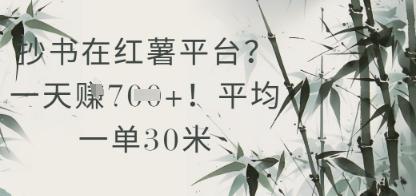 抄书在小红薯平台？平均一单30米，一天收益几张！