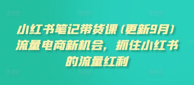 小红书笔记带货课(更新25年5月)流量电商新机会，抓住小红书的流量红利