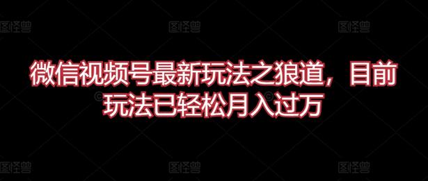 微信视频号最新玩法之狼道，目前玩法已轻松月入过万