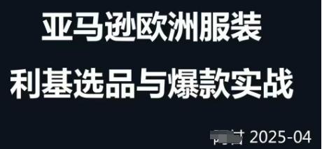 跨境电商选品案例24-25年，聚焦跨境电商选品策略与运营优化，助力卖家挖掘蓝海市场