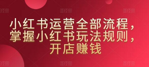 小红书运营全部流程，掌握小红书玩法规则，开店赚钱