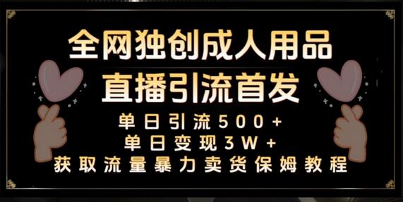 全网独创真人主播+无人直播单日引流500+，橙人用品暴力卖货单日变现3W+保姆似教学2.0