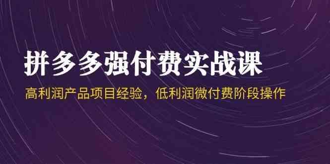 拼多多强付费实战课-44期，高利润产品项目经验，低利润微付费阶段操作