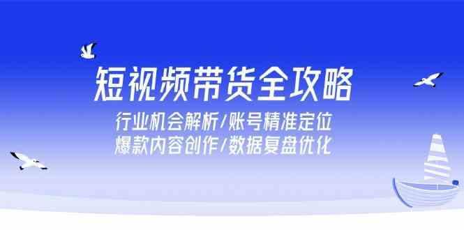 短视频带货全攻略，行业机会解析/账号精准定位/爆款内容创作/数据复盘优化