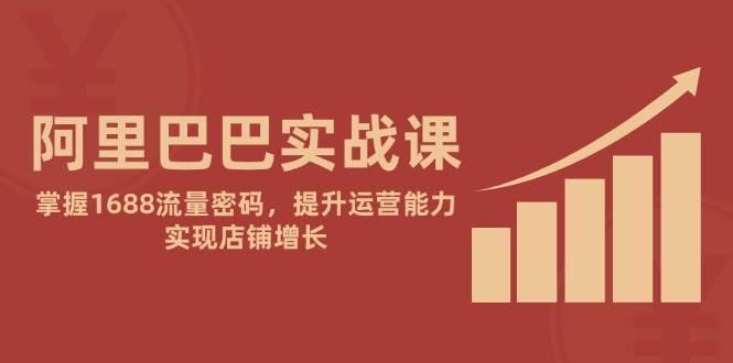阿里巴巴实战课：掌握1688流量密码，提升运营能力，实现店铺增长
