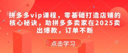 拼多多vip课程，零基础打造店铺的核心秘诀，助拼多多卖家在2025卖出爆款，订单不断