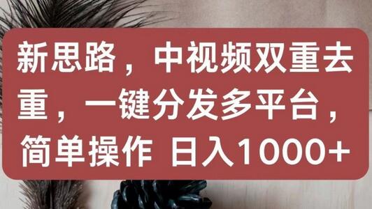 新思路，中视频双重去重，一键分发多平台，简单操作，日入1000+