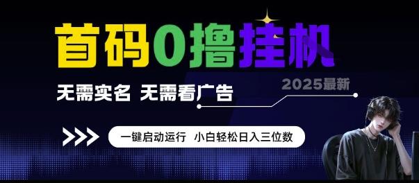 首码0撸挂G项目，无需实名无需看广告 一键启动运行，小白轻松日入三位数【揭秘】