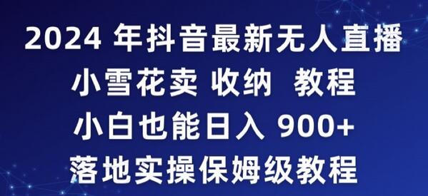 2024年抖音最新无人直播小雪花卖收纳教程，小白也能日入900+落地实操保姆级教程