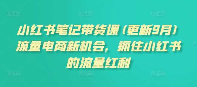 小红书笔记带货课(更新25年3月)流量电商新机会，抓住小红书的流量红利