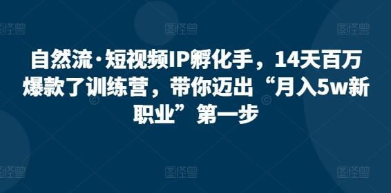 自然流·短视频IP孵化手，14天百万爆款了训练营，带你迈出“月入5w新职业”第一步