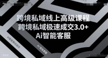 跨境私域线上高级课程，跨境私域极速成交3.0+Ai智能客服
