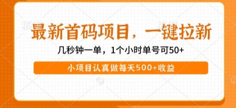 最新首码项目，操作最简单，收益高，一键拉新，1个小时单号可50+，小项目认真做每天5张+收益【揭秘】