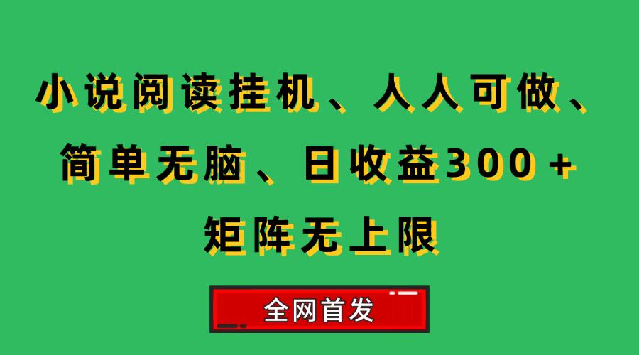 小说挂机阅读，人人可做，简单无脑，一天收益300＋矩阵无限上