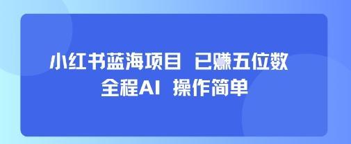 小红书蓝海项目，全程AI，操作简单，已挣五位数